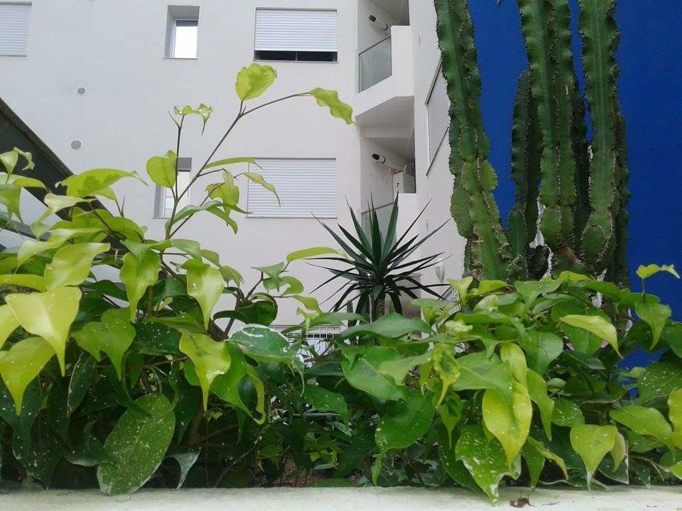 Le Lagon De Hammamet Rom bilde