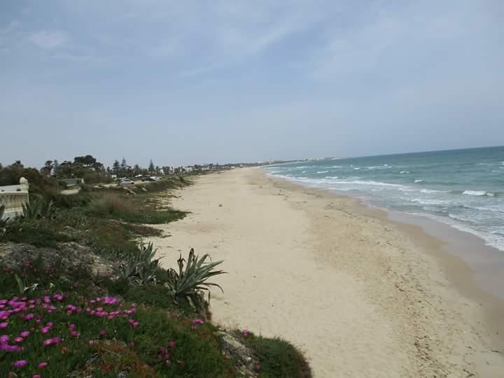 Le Lagon De Hammamet Eksteriør bilde