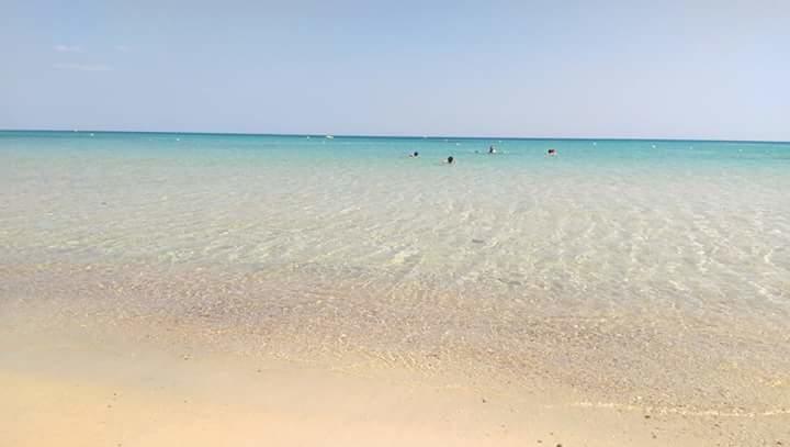 Le Lagon De Hammamet Eksteriør bilde